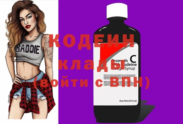 СК Кодинск