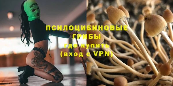 СК Кодинск